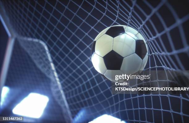 篮球篮网球员训练视频引粉丝关注