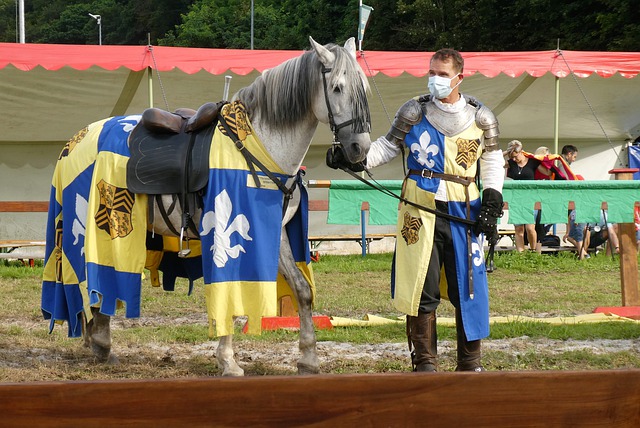 稳定地获得 稳定地获得