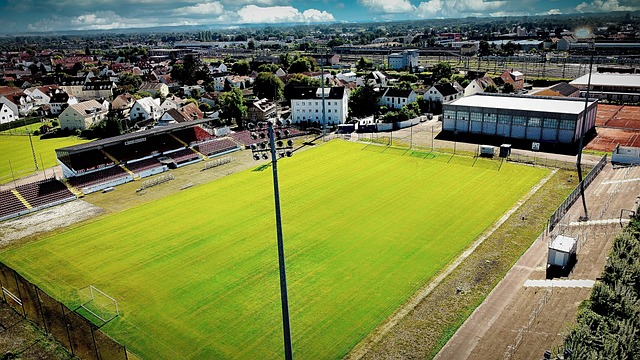 力似乎仍有 力似乎仍有