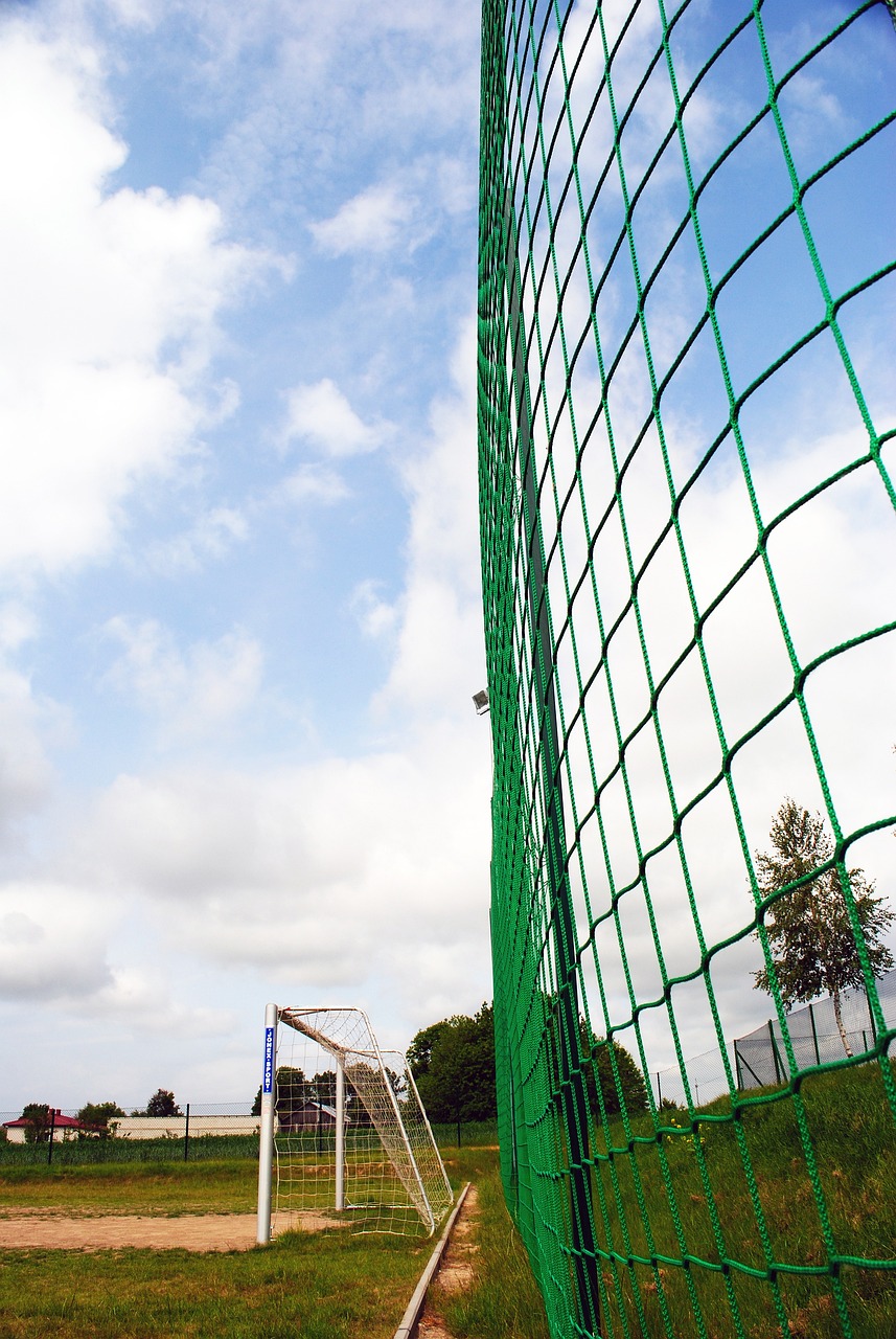 因多起性骚 因多起性骚