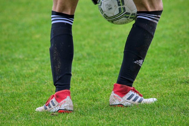 不得不選擇 不得不選擇