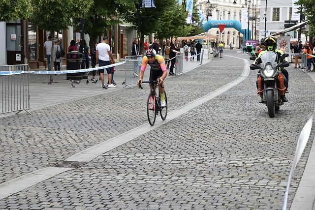 政治判断 政治判断