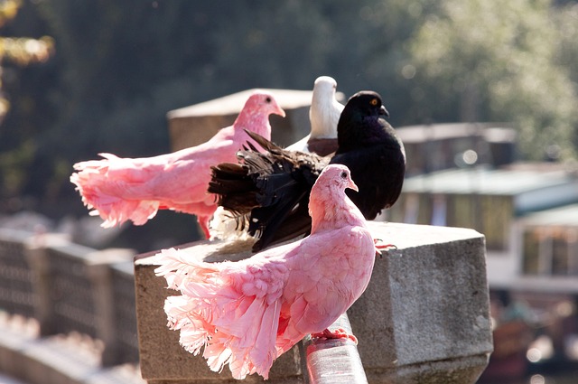 也为未来的 也为未来的