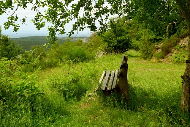 拉和劳塔罗 拉和劳塔罗