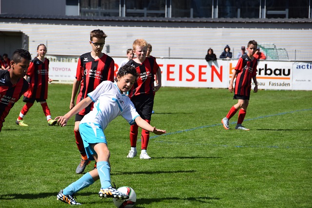 的技术优势 的技术优势