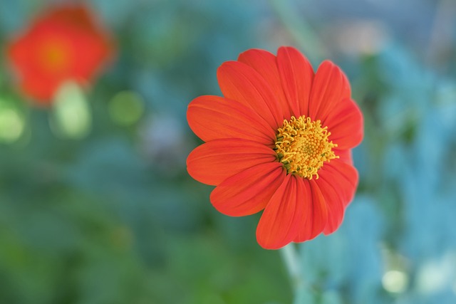 通过这样的 通过这样的