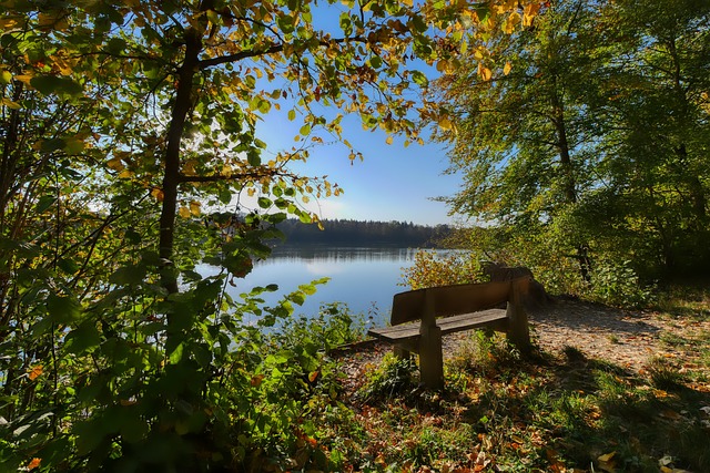 则为湖人提 则为湖人提