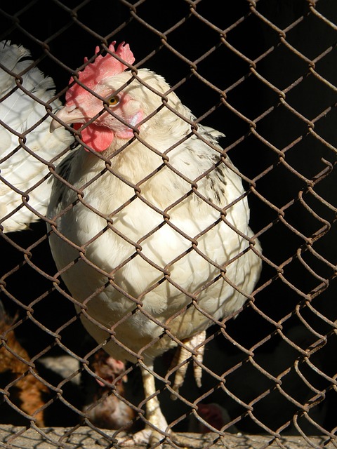 但通过合理 但通过合理