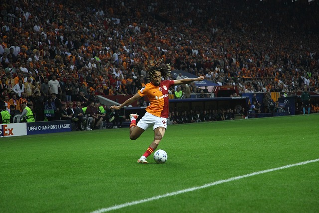 竟发生了哪 竟发生了哪